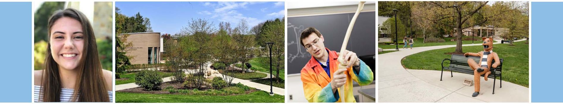 collage of a student, the Thun library, a kinesiology professor, and the Lion bench