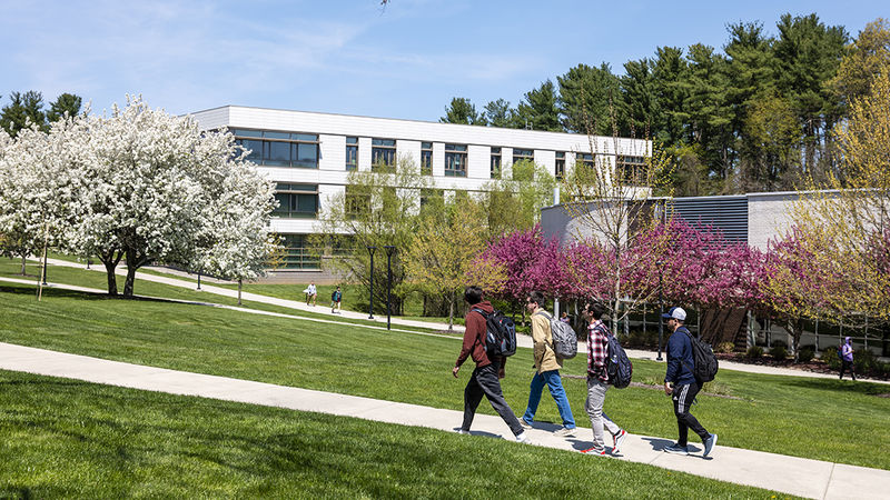 Four students walk on a sidewalk in front of the Gaige Building while trees bloom