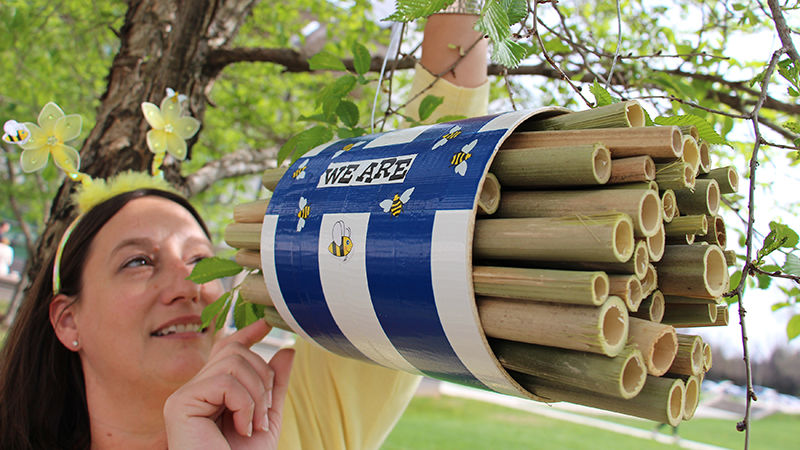 A student checks on her sustainabilite beehive project