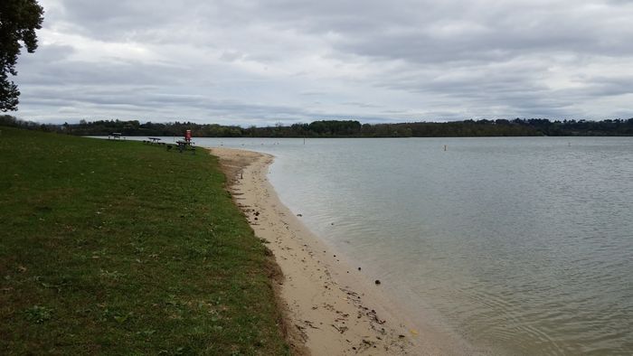 view of shoreline and artificial lake