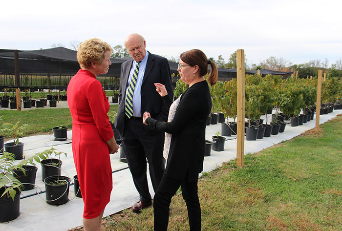 Houlahan learns more about the lanternfly at Berks.