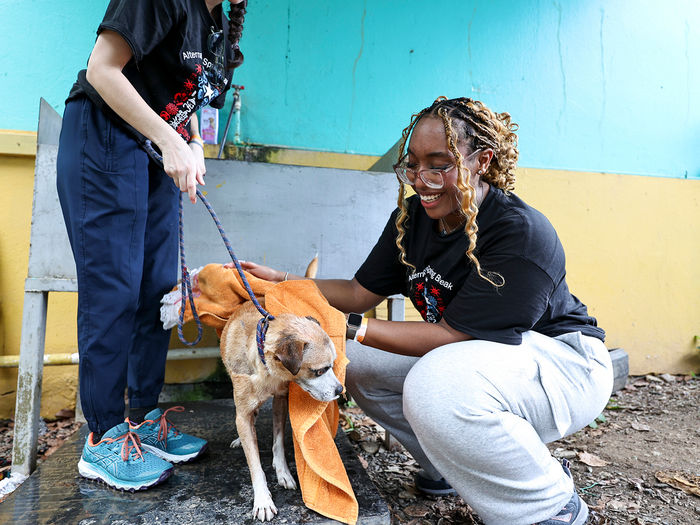 Berks student volunteering at animal shelter