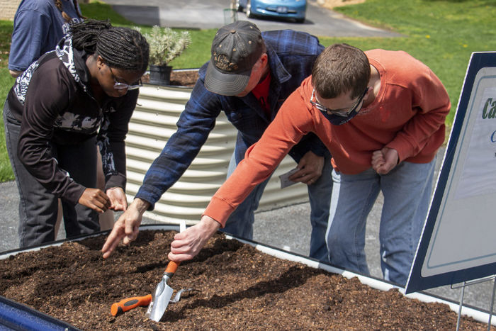 Students planting
