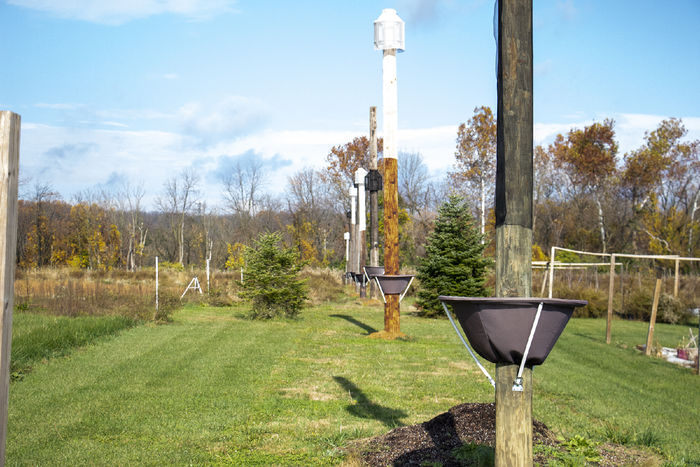 Telephone poles with SLF traps