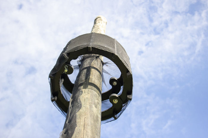 Top traps on telephone poles