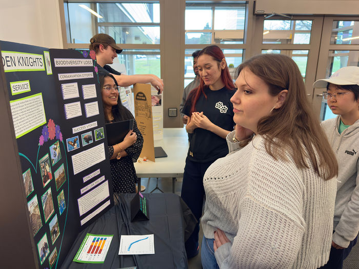 Student looking at poster display