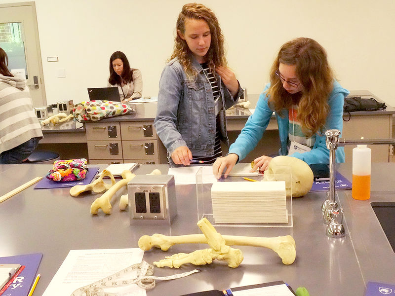 Students in a Math Lab at Penn State Berks