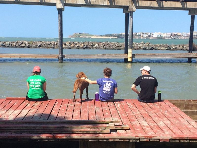 Three students relaxing on a dock overlooking the water.