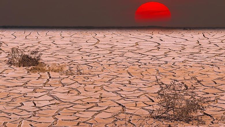 drought landscape