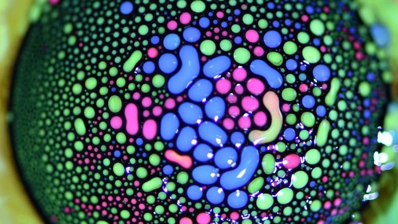 freyberger gallery fluid motion