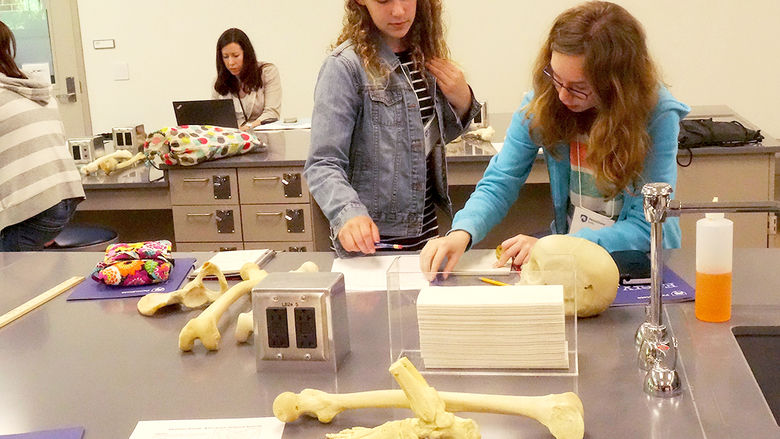 Careers with Math Options hosts 300 female seventh graders