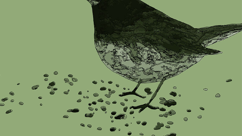 “Bird Call: Studies and Actions Dedicated to Biodiversity" Exhibition Image