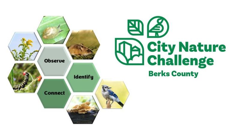City Nature Challenge logo