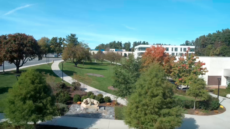 Penn State Berks's Lion Shrine as seen from above