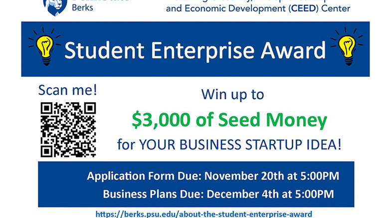 Student Enterprise Award