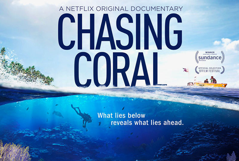 Chasing Coral logo Chasing Coral logo