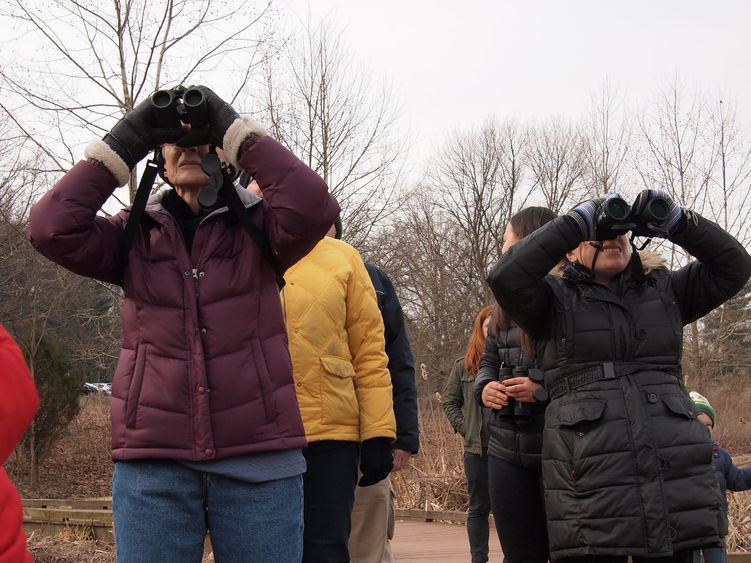 Berks biodiversity and birdwatchin